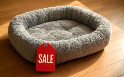 Pamper your pup with a cozy upgrade – dog bed on sale today!