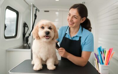 Treat Your Pup to Glowing Grooming on Wheels with a mobile dog salon