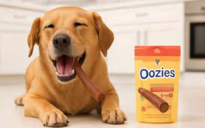 Unlock is oozies for dog: a savvy guide to treats, safety, and pup-approved fun.